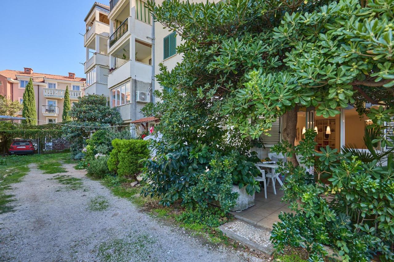 Hedera Estate, Hedera 6